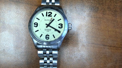 Glycine incursore 3849 - incursore,